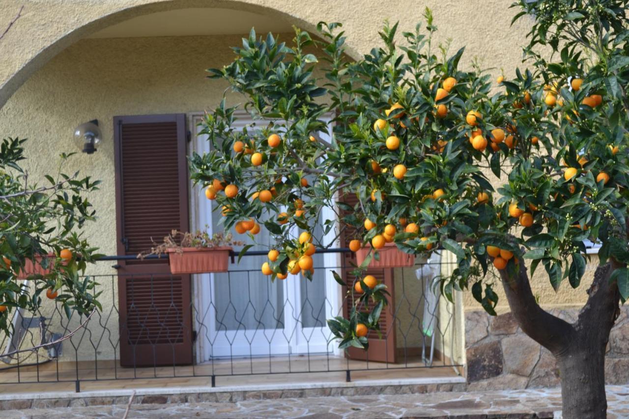 Etesia Bed & Breakfast Olbia Exterior photo