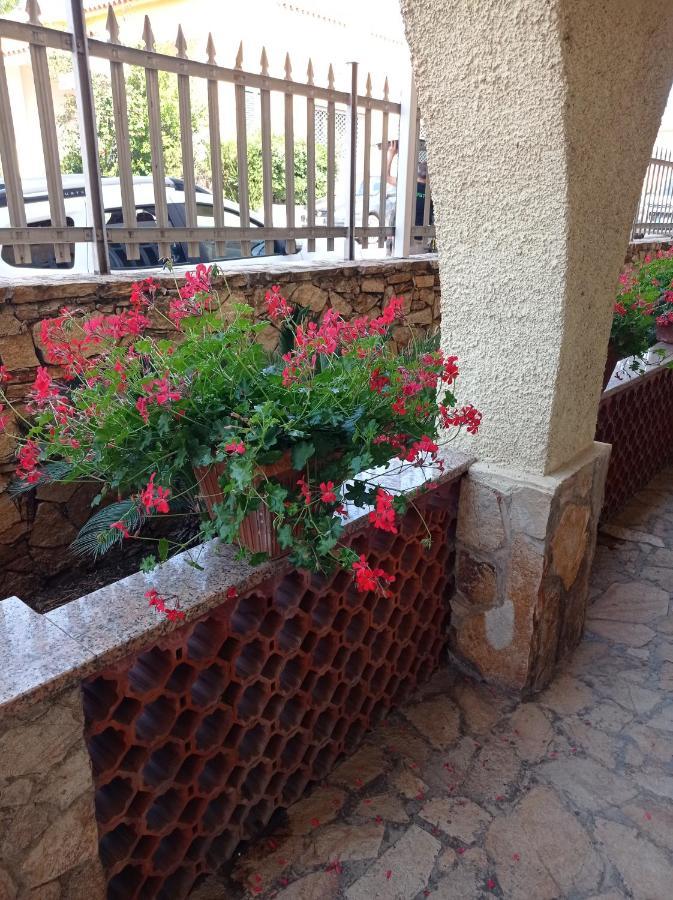 Etesia Bed & Breakfast Olbia Exterior photo